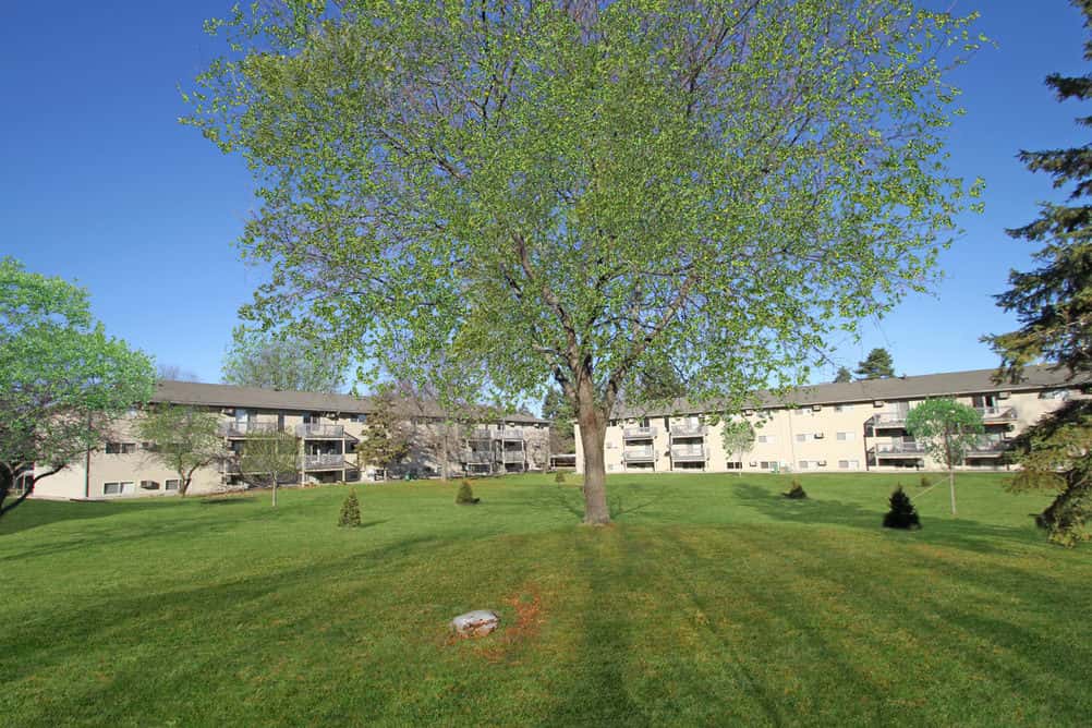 Beautiful outdoor view of green trees and a clear sky